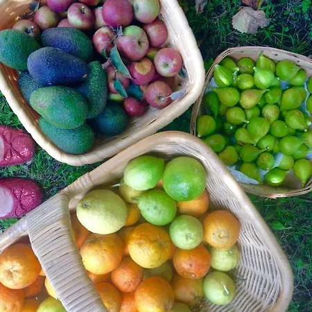 Madeinfofan Rural Con Jardin (adults Only) * Πόρτο Νόβο