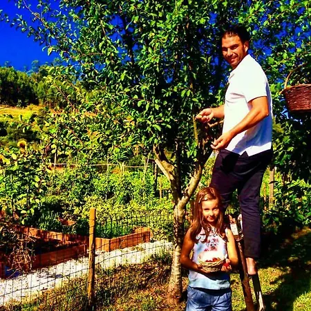 Madeinfofan Rural Con Jardin (adults Only) Bed and breakfast Portonovo