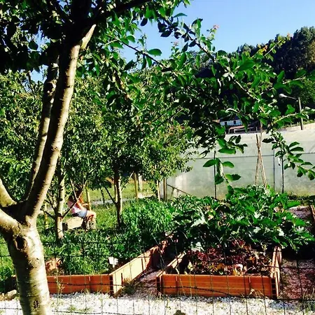 Madeinfofan Rural Con Jardin (adults Only) Bed and breakfast *